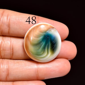 Natural Shiva Eye Shell Gemstones, Loose Gemstone Crystals For Jewelry Making Supply, Wire Wrapping Macrame, Healing Crystal, Christmas Gift