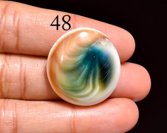 Natuurlijke Shiva-oogschelp edelsteen, wervelpatroon, benodigdheden voor het maken van sieraden (1 stuk)