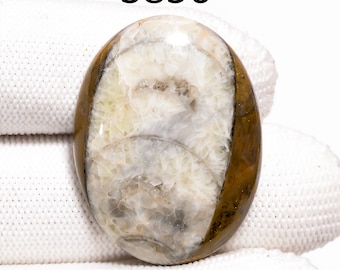 Brown Ammonite Gemstone Cabochon, Jewelry Making, Healing Crystals