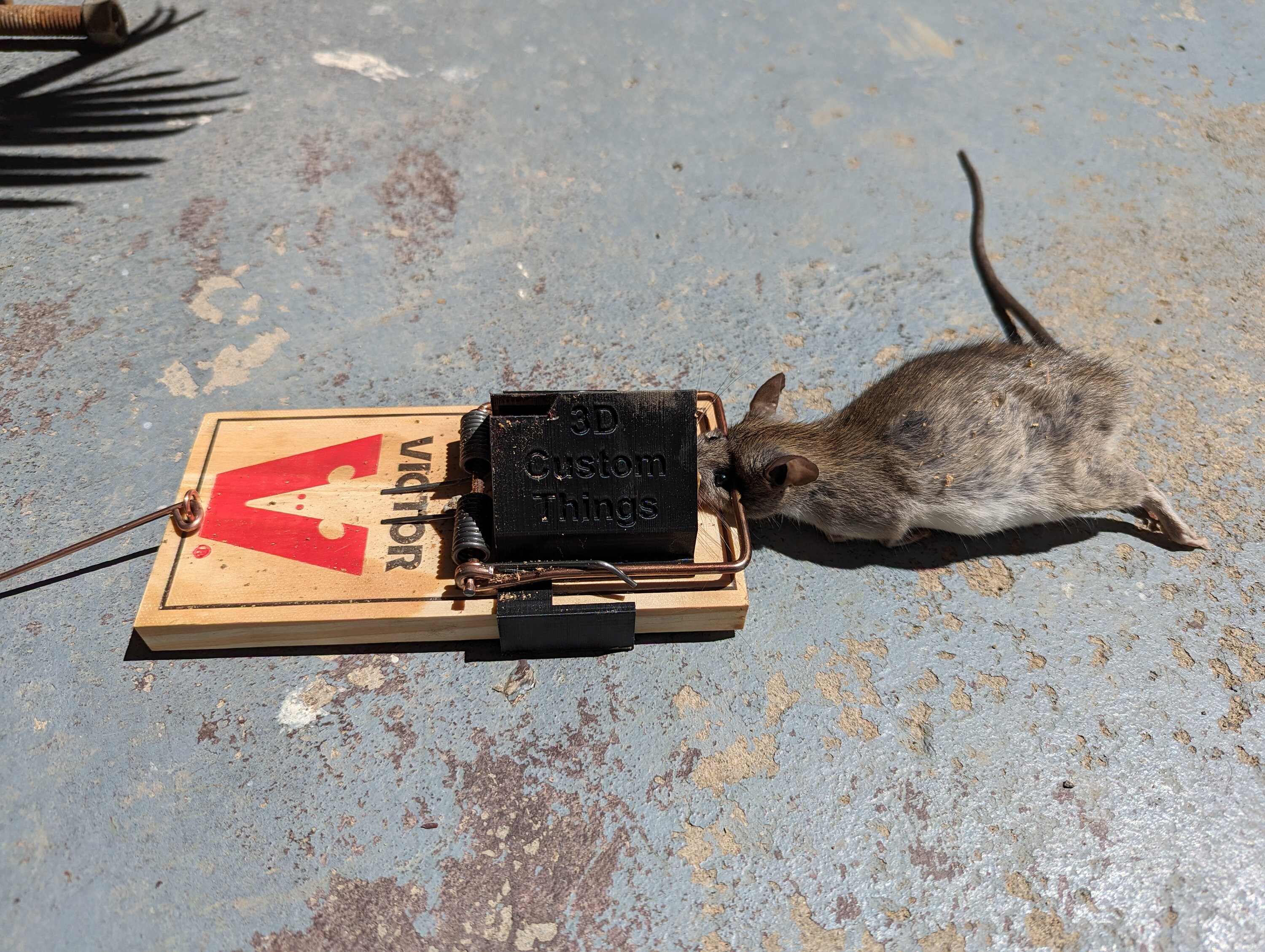 thumbnail interactive-video image 1 of Victor Rat Trap Hood Guide Upgrade – White, Snap Trap – Indoor/Outdoor Use 1 of 3