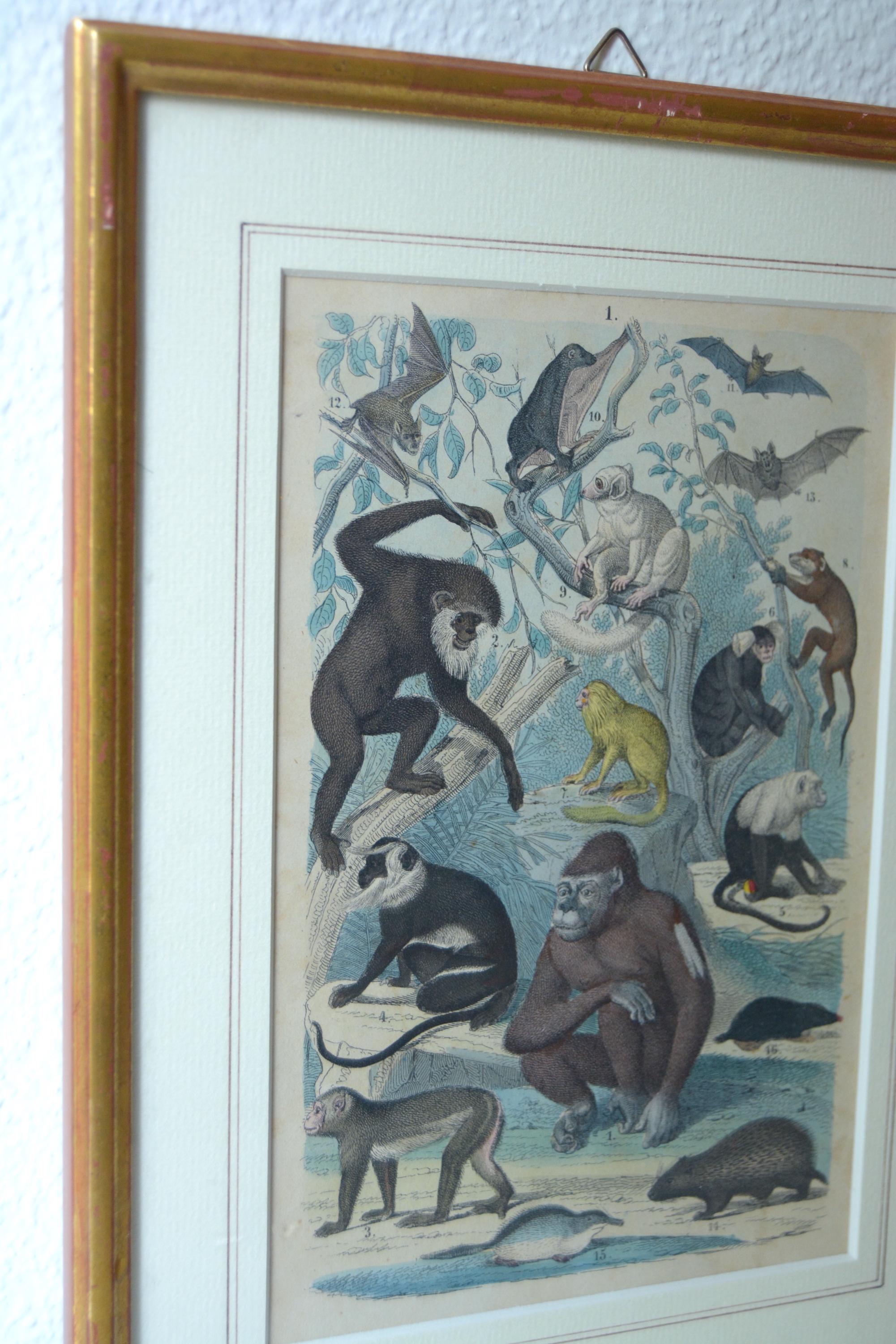 メゾチント　vintage Art il_fullxfull.6956249784_ilpc.jpg