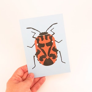 Harlequin Beetle Art Print
