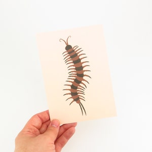 Centipede Art Print