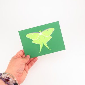 Luna Moth Art Print