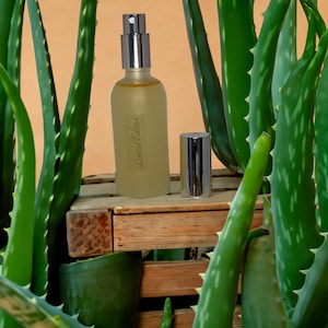 Aloe-Spray für Haare & Haut