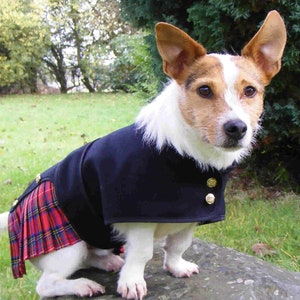 Tartan Plaid Dog Kilts. Weddings, Hogmanay and Burns Night. Hand Pleated. Red Stewart or Black Watch. Coat, Jacket