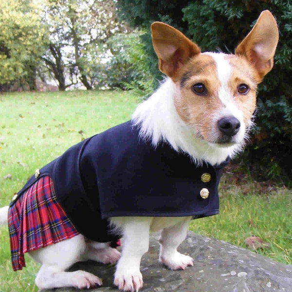 Tartan Plaid Dog Kilts. Weddings, Hogmanay and Burns Night. Hand Pleated. Red Stewart. Coat, Jacket