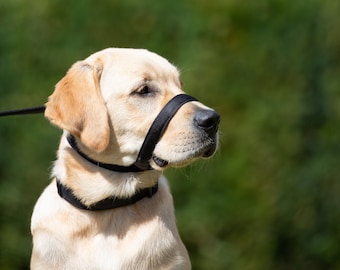 UniWalker Figuur van 8 Hondentraining Hondenriem. Stop met trekken van uw hond - NU! Zacht, gewatteerd nylon. Gemakkelijk te monteren en comfortabel. 3 toepassingen in 1 lead.