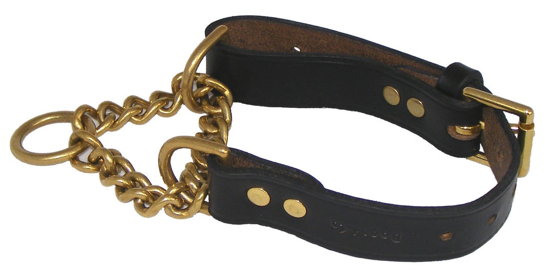 Signature Leather Half Check Dog Softest British Leather