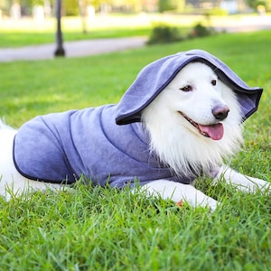 Puede incluir: Un perro blanco con una toalla con capucha azul, acostado en la hierba verde. La toalla tiene un borde negro alrededor de la capucha.