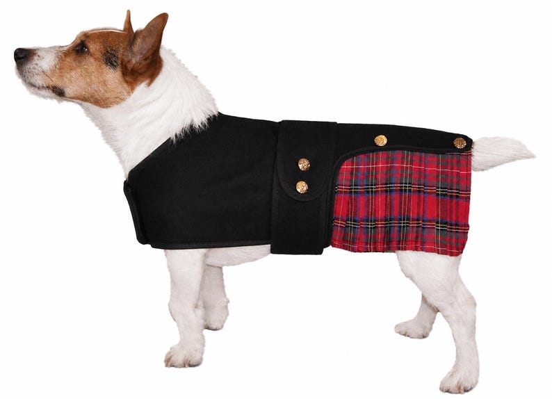 May include: A black dog coat featuring a solid black upper section and a red, green, and blue plaid pleated skirt section. The garment includes a wide black strap across the midsection secured with two gold-toned buttons and two additional gold-toned buttons on the rear flap.