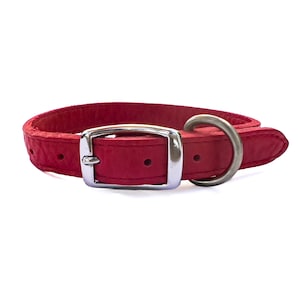 May include: A red leather dog collar with a silver buckle and D-ring.