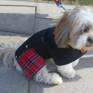 May include: A small, long-haired dog with white and tan fur wearing a black coat featuring a red, yellow, and blue plaid kilt-style attachment on the rear. The coat includes two gold-colored buttons on the side and a small rectangular tag.