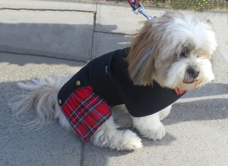 May include: A small, long-haired dog with white and tan fur wearing a black coat featuring a red, yellow, and blue plaid kilt-style attachment on the rear. The coat includes two gold-colored buttons on the side and a small rectangular tag.