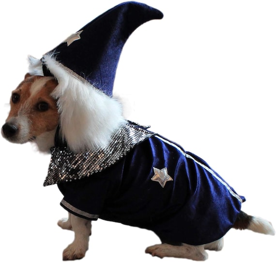 Dog wizard costume cheap