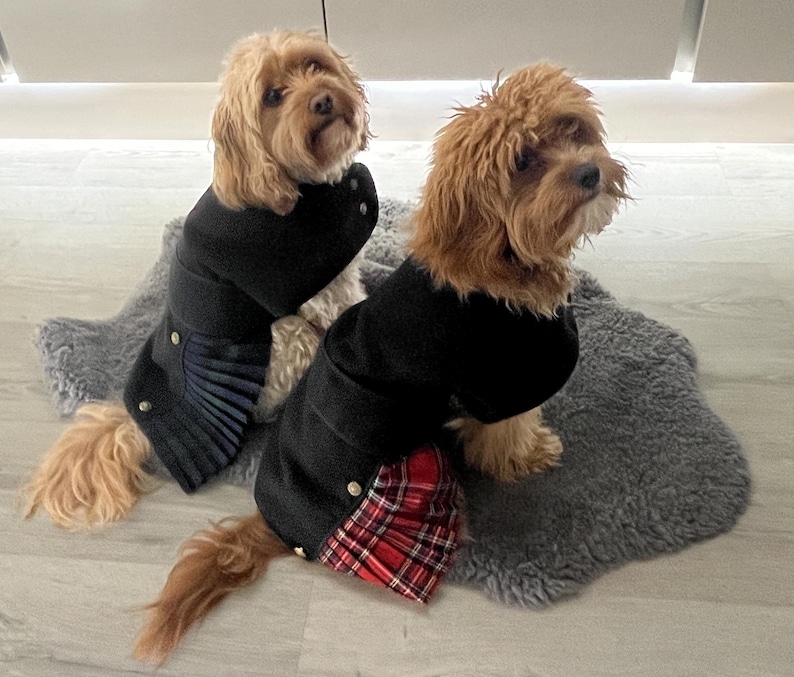 May include: Two small, light brown, fluffy dogs wearing black coats. One coat features a dark blue pleated skirt detail, and the other coat features a red and black plaid pleated skirt detail. Both coats are secured with small gold-toned buttons.