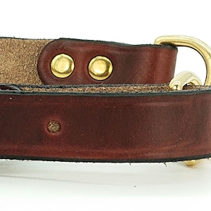 Könnte beinhalten: Ein braunes Lederhundekragen mit einer Messing-Schnalle und Kette. Das Halsband hat zwei Messingnieten oben.