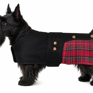 May include: A black Scottish Terrier dog wearing a black coat with a red, blue, and yellow plaid panel on the rear. The coat features a vertical strap across the midsection secured with two gold-toned buttons and one additional gold button.