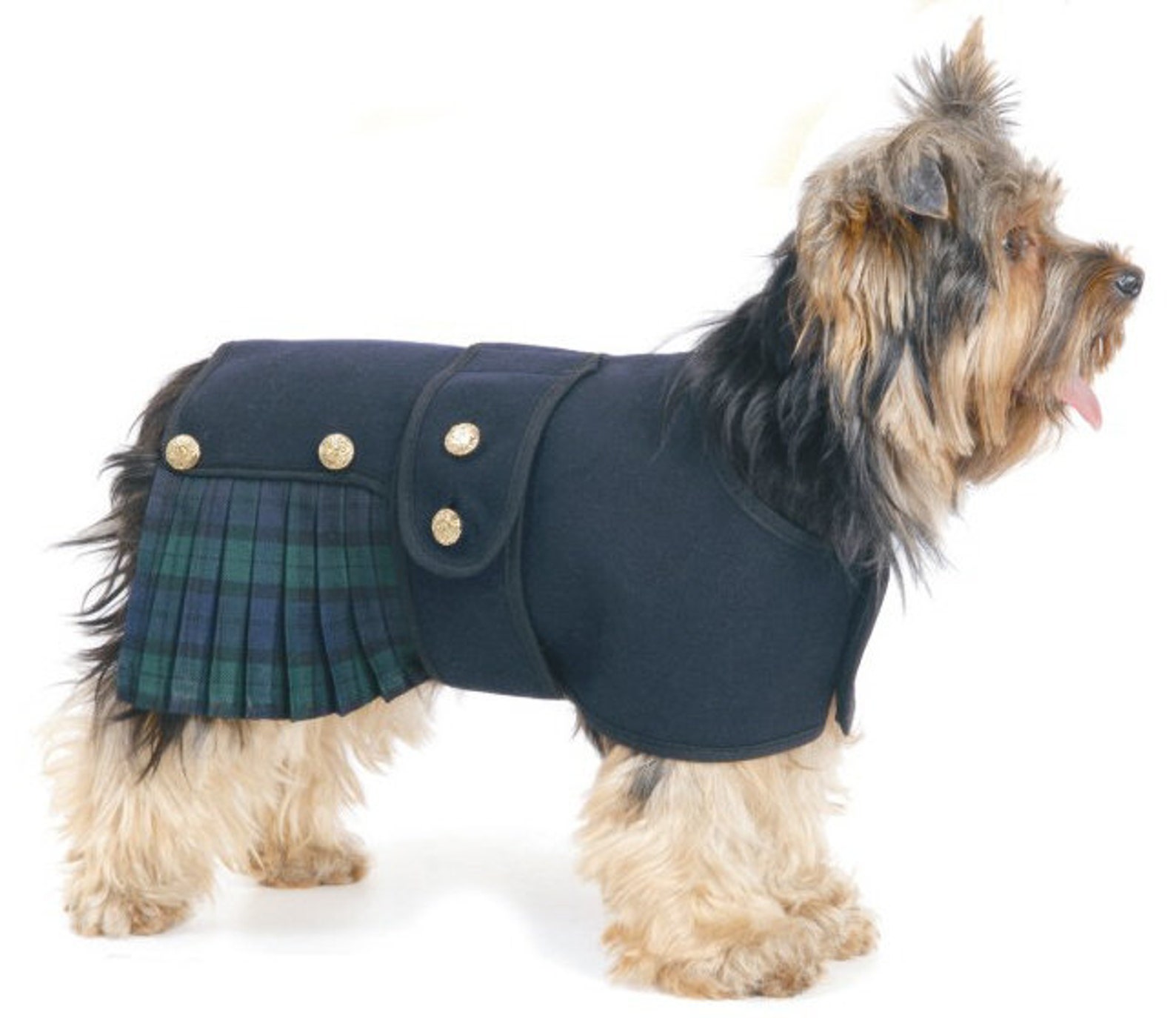 Tartan Plaid Dog Kilts. Weddings Hogmanay and Burns Night. Etsy