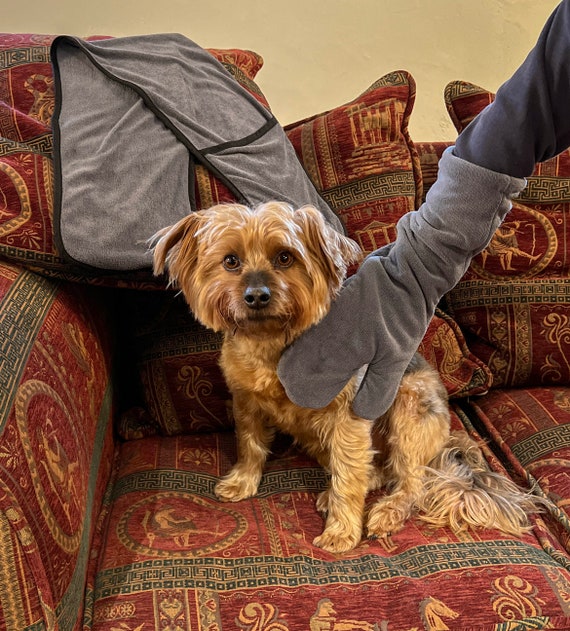 Drying mitts for dogs hot sale