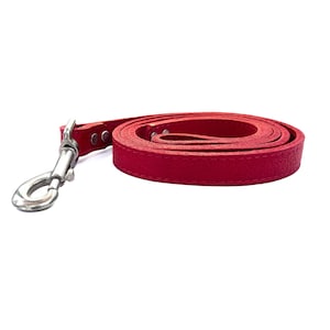 May include: A red leather dog leash with a silver metal clasp.