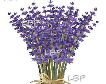 Lavender Bunch, Lavender Bouquet, Raffia Bow, Relaxing Botanical Graphics for Sublimation or Cutting, Printables, jpeg, pdf, png, svg