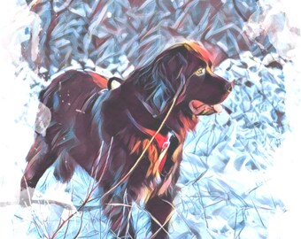 May include: A brown dog with a red collar stands in a snowy forest. The dog is looking to the right of the image. The snow is covered in blue and white brushstrokes.