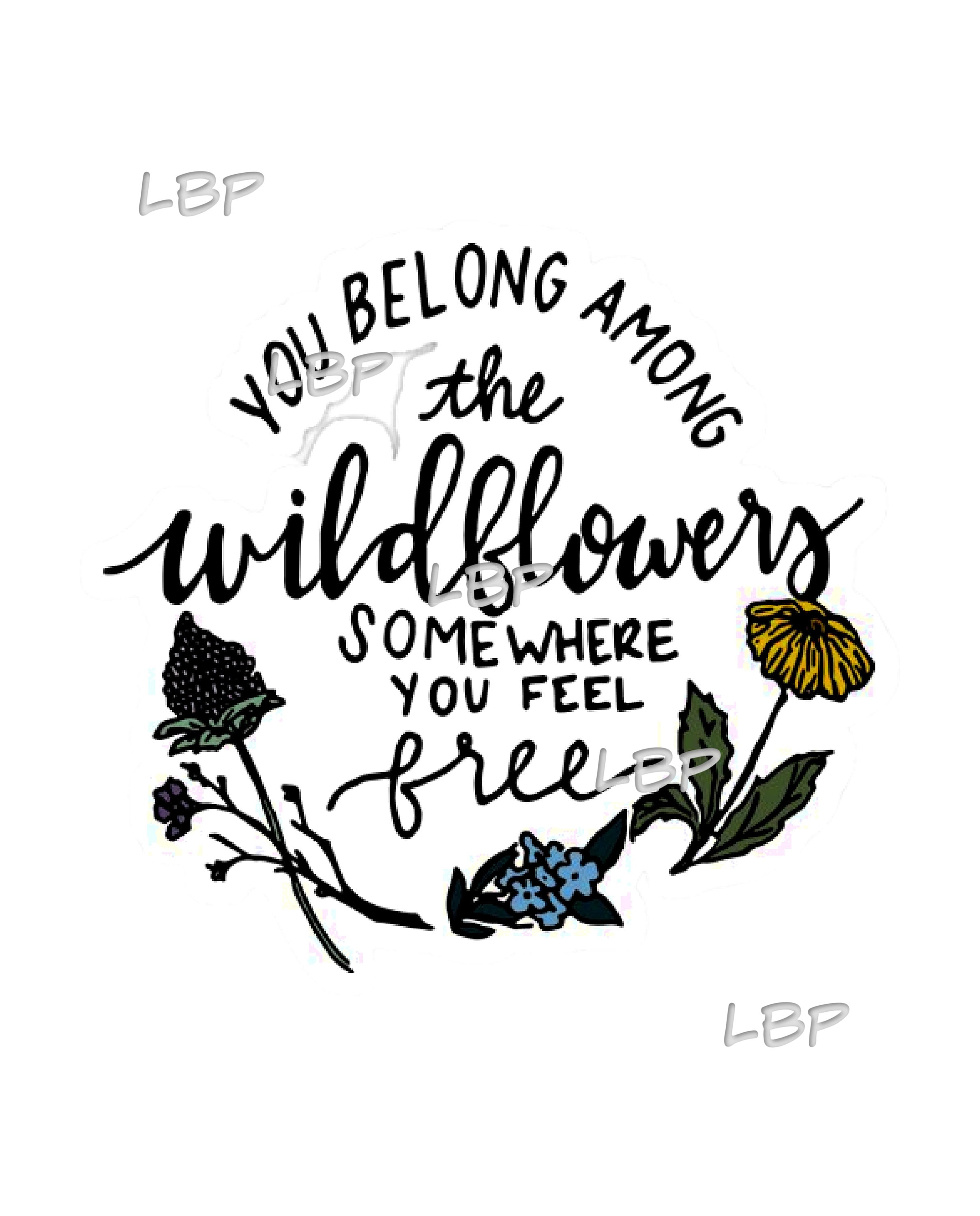 tom petty wildflowers tom petty wildflowers