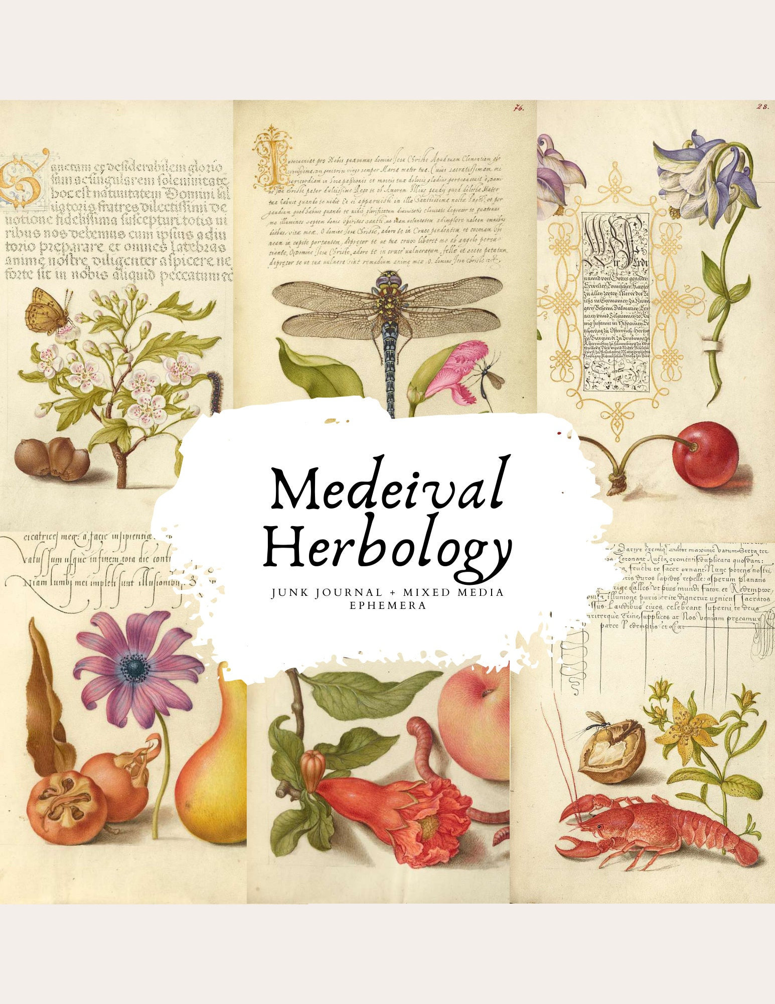 Vintage Medieval Herbology Plants, Junk Journal, Mixed Media Ephemera