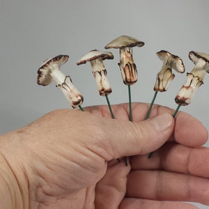 set of 5 miniature mushrooms