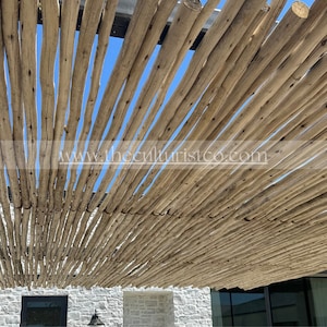 May include: A natural wood pergola roof with numerous parallel wooden beams. The beams are light brown and arranged in a slightly angled pattern, creating a textured surface. The sky is visible through the gaps between the beams. The website address www.theculturistco.com is visible.