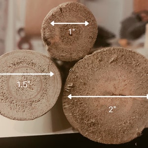 May include: Three cross-sections of wood logs, each displaying a different diameter. The smallest measures 1 inch, the middle one 1.5 inches, and the largest 2 inches. The wood has a light brown color and visible grain.