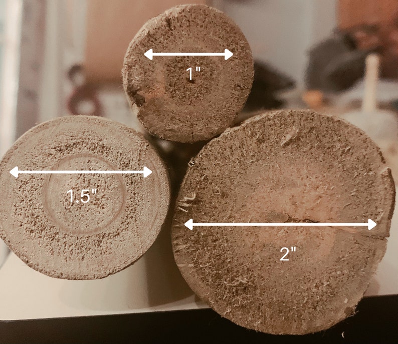 May include: Three cross-sections of wood logs, each displaying a different diameter. The smallest measures 1 inch, the middle one 1.5 inches, and the largest 2 inches. The wood has a light brown color and visible grain.