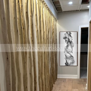 May include: A hallway with a natural wood slat wall on the left and a framed abstract black and white artwork on the right. The floor is light-colored wood, and the ceiling has a white tile pattern. The website address www.theculturistco.com is visible.