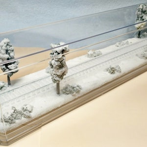 Puede incluir: Una escena invernal en miniatura encerrada en una vitrina de acrílico transparente. La escena presenta un paisaje nevado con árboles modelo, arbustos y vías de tren. Los árboles y arbustos están cubiertos de nieve blanca.