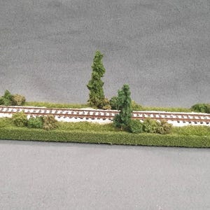 May include: A model railway track with green foliage and trees on either side. The track is made of brown wood and has white lines painted on it.