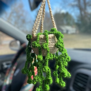May include: A crocheted hanging plant with a beige pot and green leaves. The plant is hanging from a beige rope and is in a car.