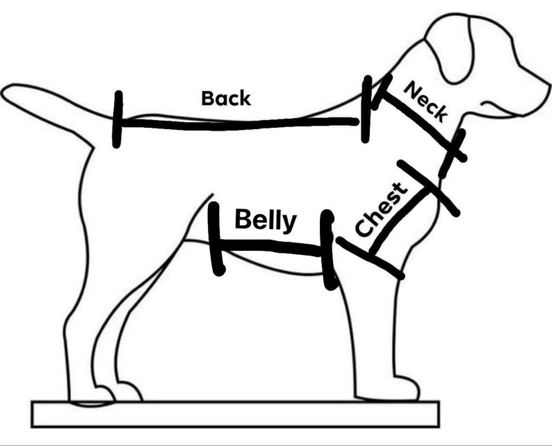 Crochet Dog Sweater Pattern Small Medium Large XL Multi Etsy