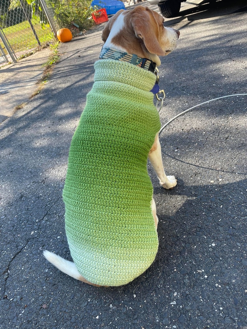 Crochet Dog Sweater Pattern Small Medium Large XL Multi Etsy