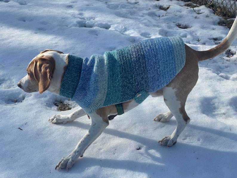 Crochet Dog Sweater Pattern Small Medium Large XL Multi Etsy