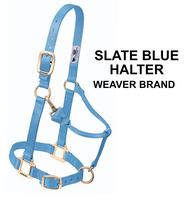 Personalized More Colors Horse Halter Halter Monogrammed Etsy