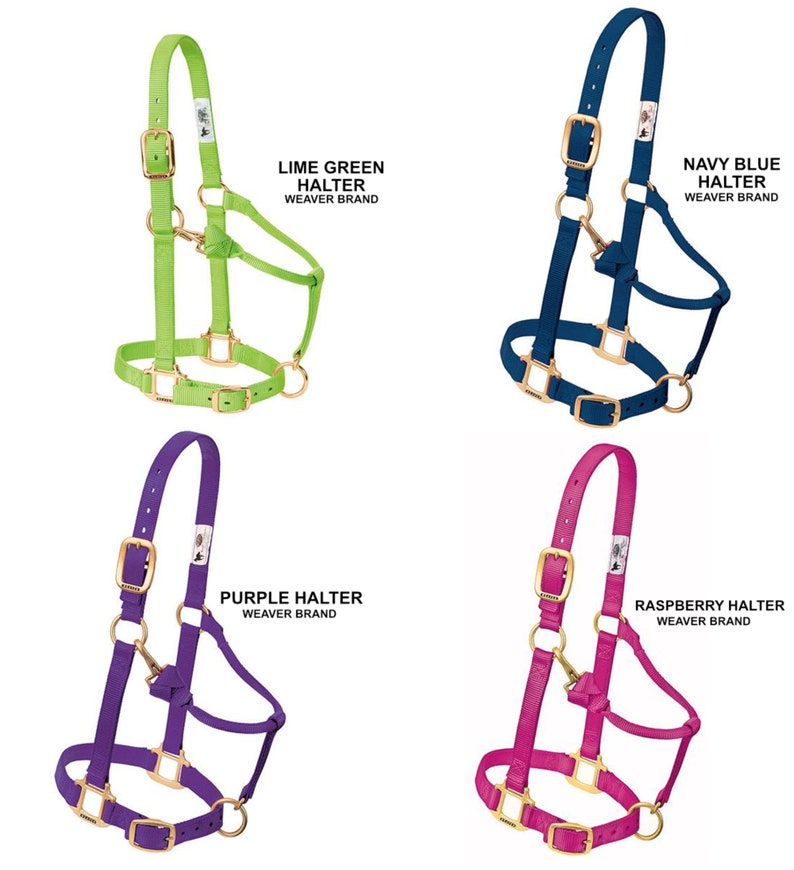 Personalized Horse Halter Halter Monogrammed Horse Halter Etsy