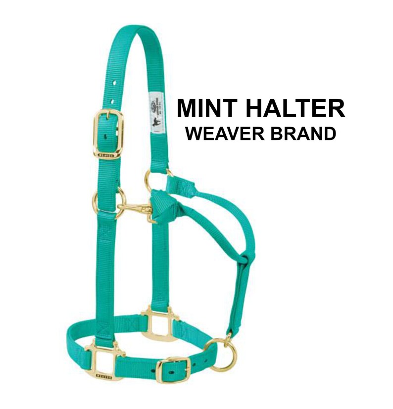 Personalized More Colors Horse Halter Halter Monogrammed Etsy