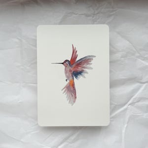 Postcard hummingbird