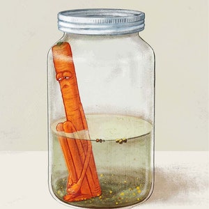 The Last Carrot - Fine Art Print