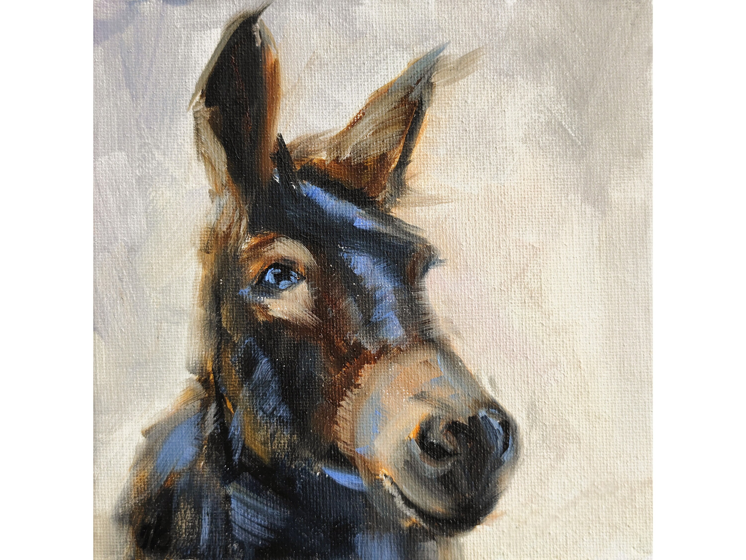 Donkey Painting Original Farm Animal Wall Art on Small Canvas Etsy