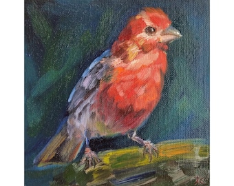 House finch painting, Original bird art on small canvas panel by Iryna Khort