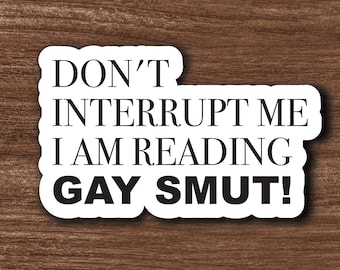 Don't Interrupt Me I Am Reading Gay Smut Vinyl Sticker, Gifts For Readers, YAOI Lovers, Hockey fans, Booktok References, Bookish present