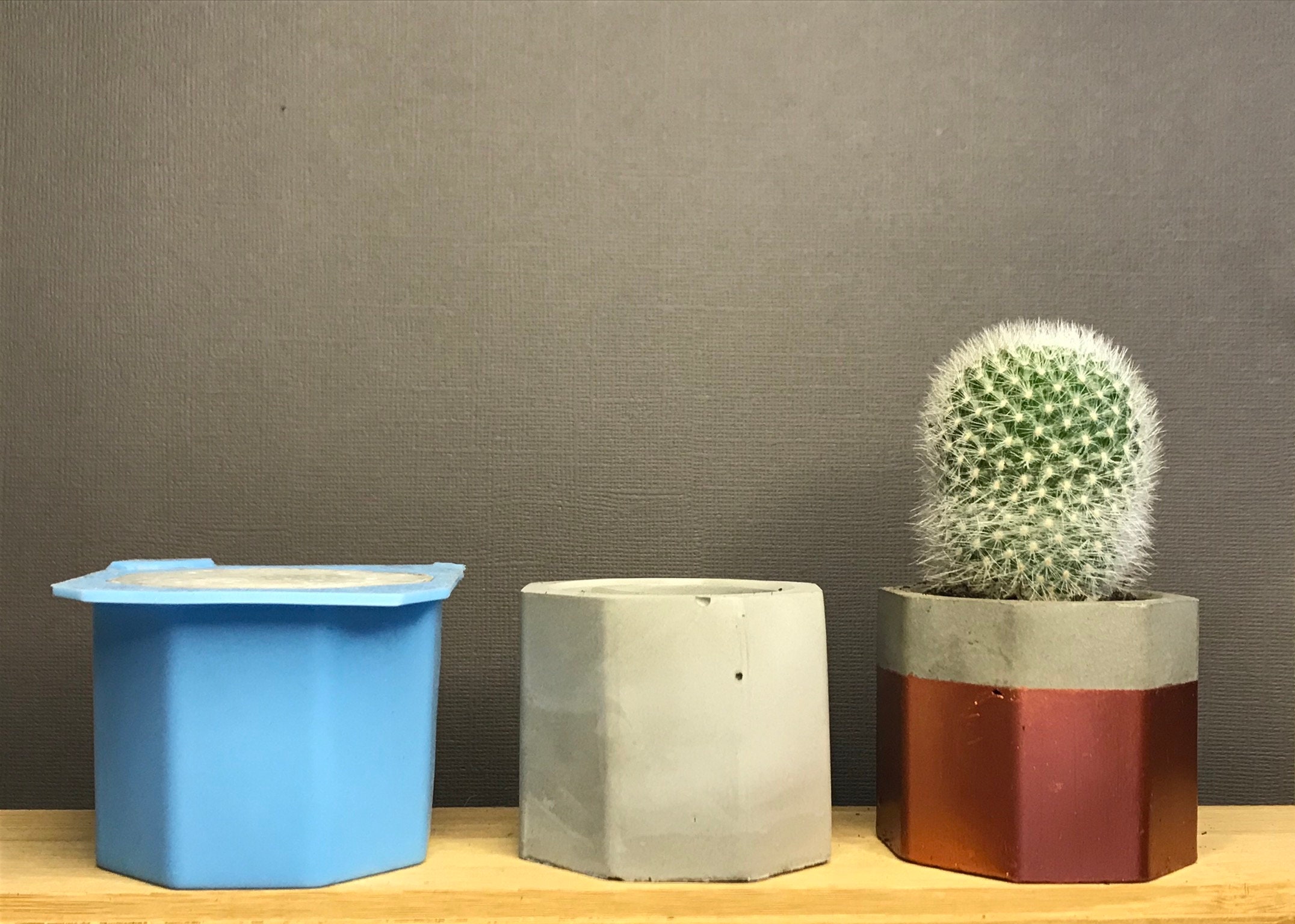 DIY Cement Pot | Etsy