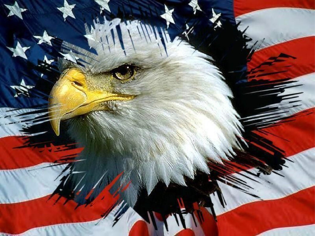 USA FLAG-, US Sticker Decal- United States Flag- Bald Eagle